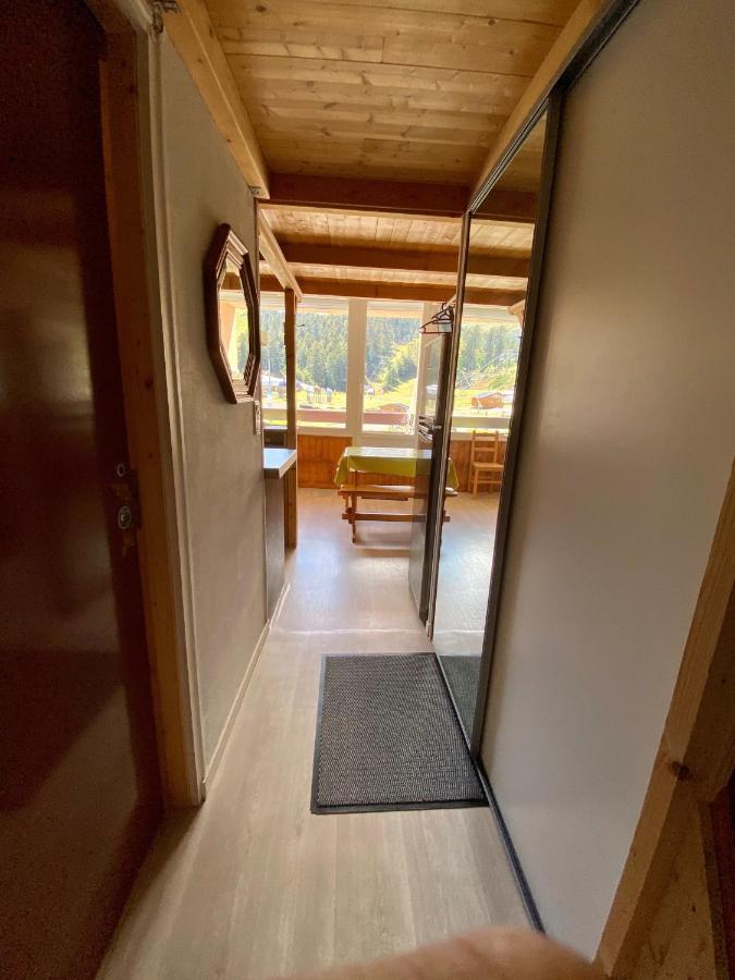 Super Lioran - Appartement Entierement Equipe Laveissière Dış mekan fotoğraf
